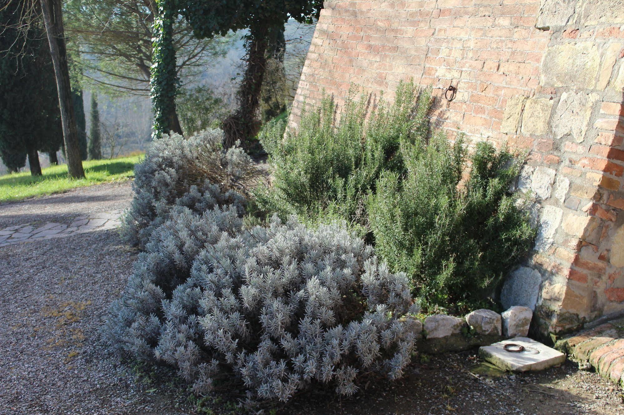 בונוקונבנטו Agriturismo Castello Saltemnano מראה חיצוני תמונה